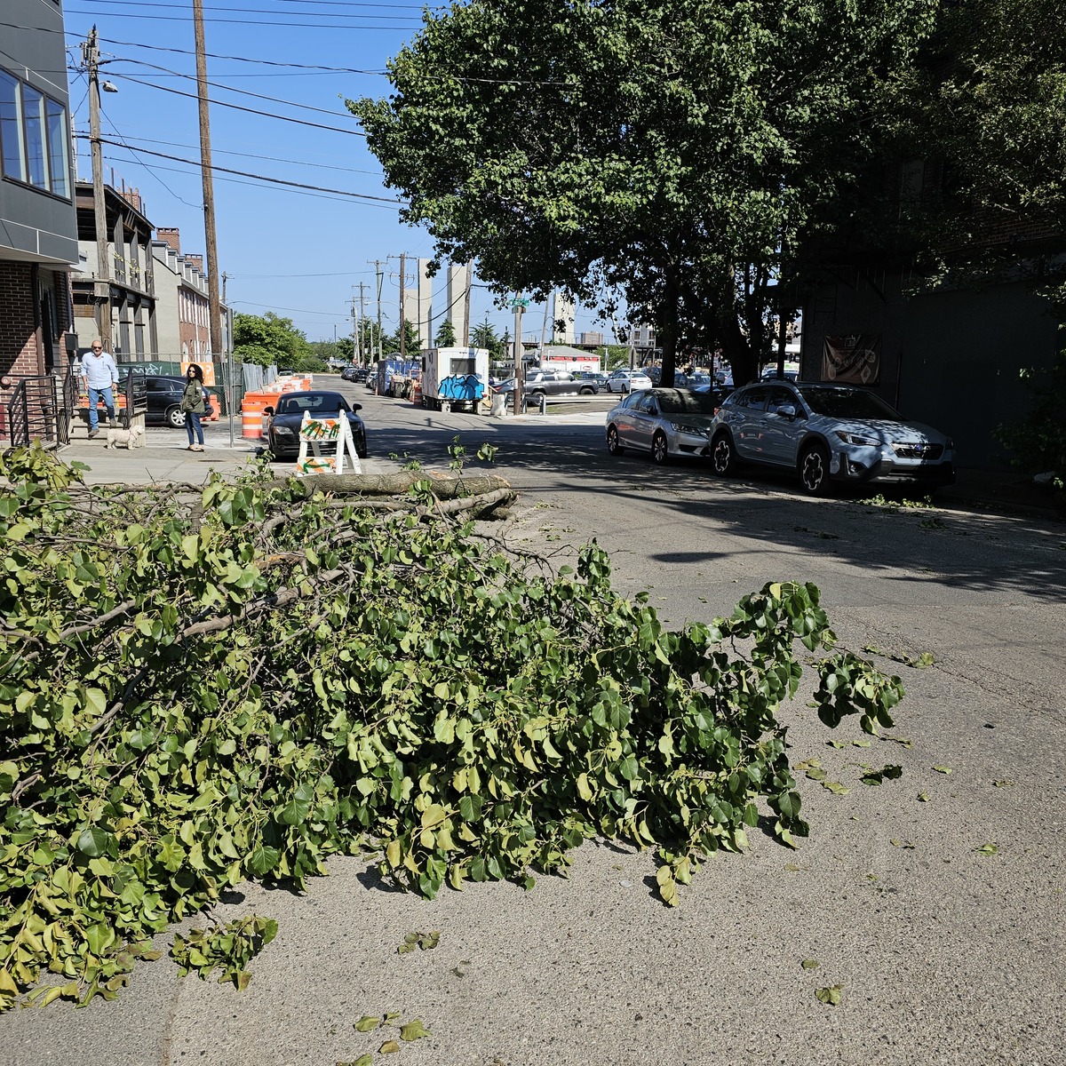 Photographic documentation of the work as submitted to the city's 311 record.