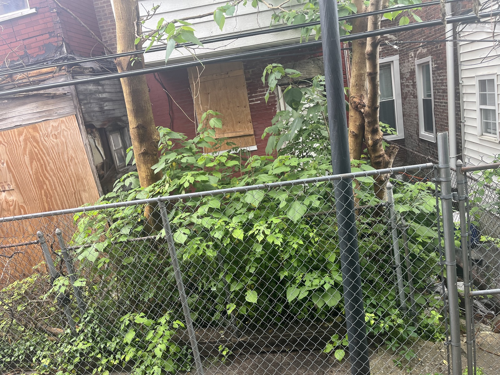 Photographic documentation of the work as submitted to the city's 311 record.