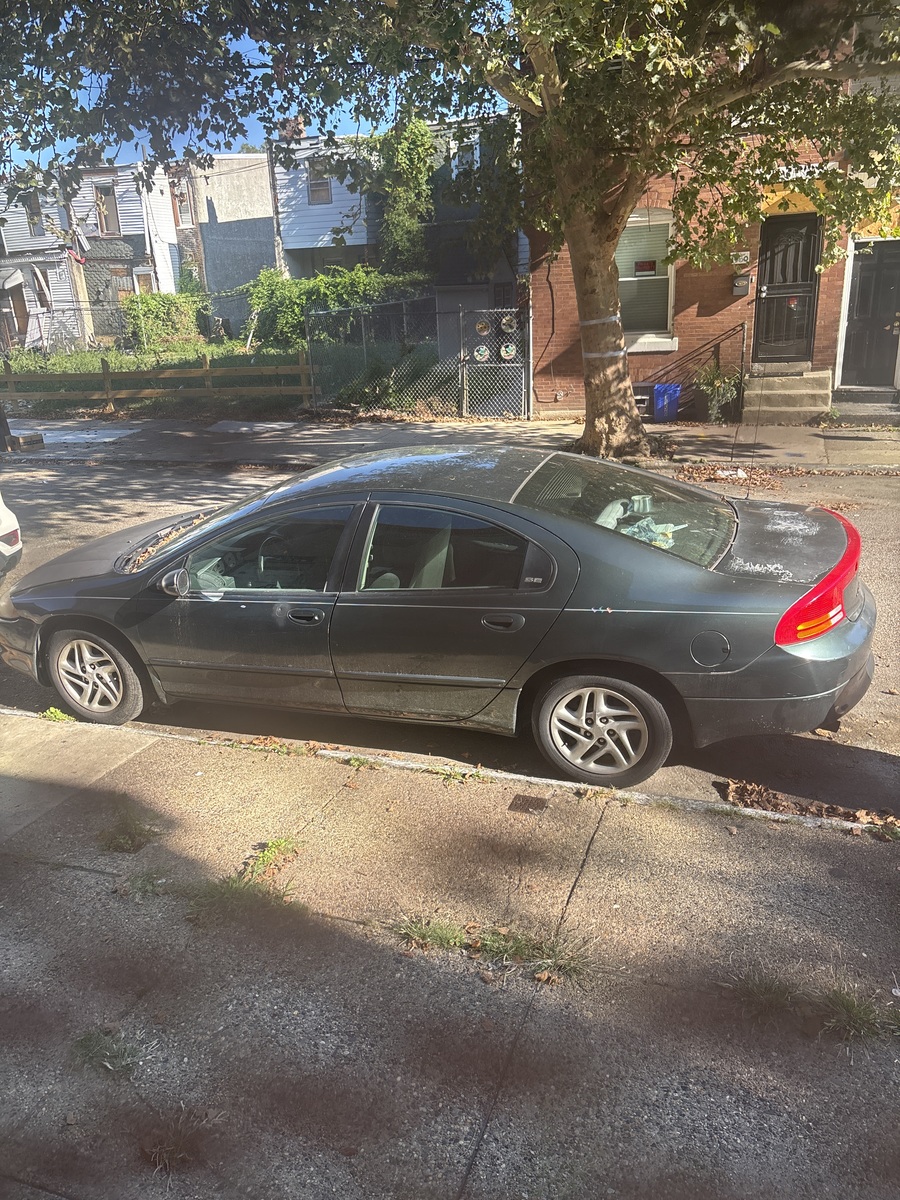 Photographic documentation of the work as submitted to the city's 311 record.