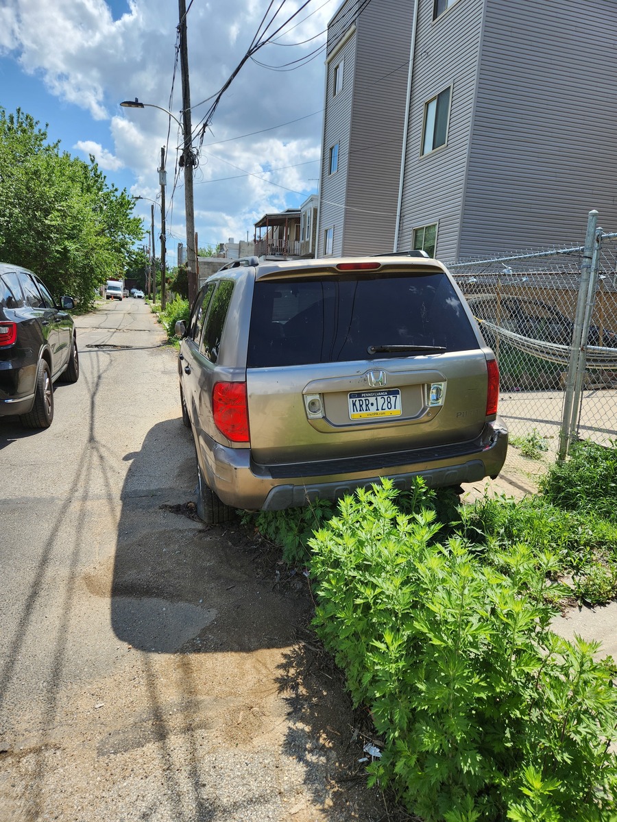 Photographic documentation of the work as submitted to the city's 311 record.