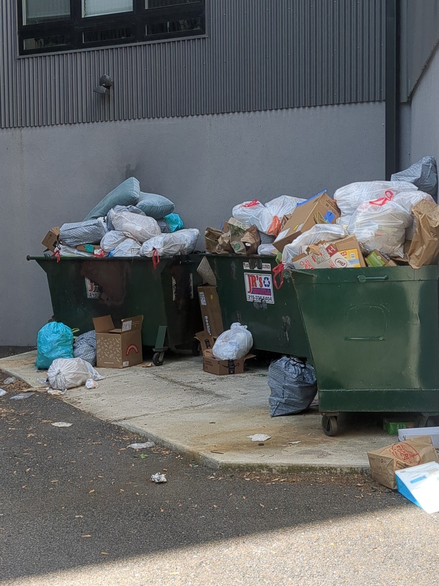 Photographic documentation of the work as submitted to the city's 311 record.