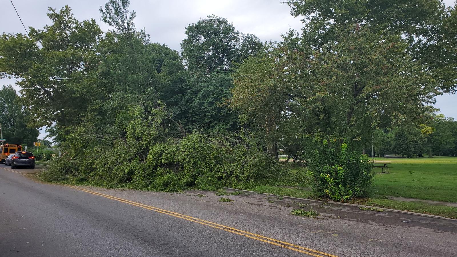 Photographic documentation of the work as submitted to the city's 311 record.