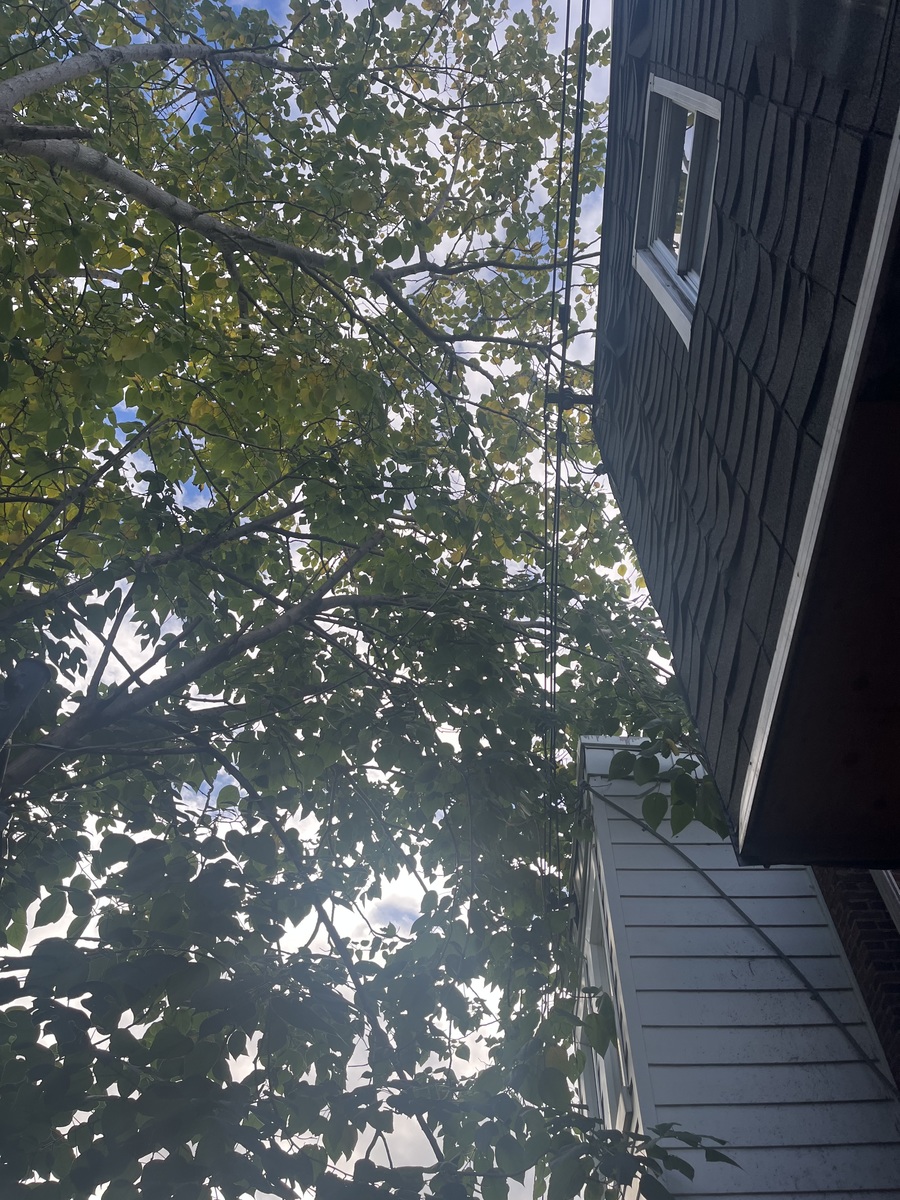 Photographic documentation of the work as submitted to the city's 311 record.