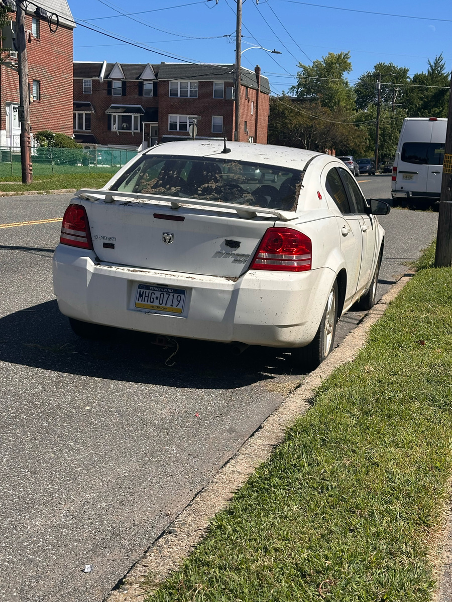 Photographic documentation of the work as submitted to the city's 311 record.