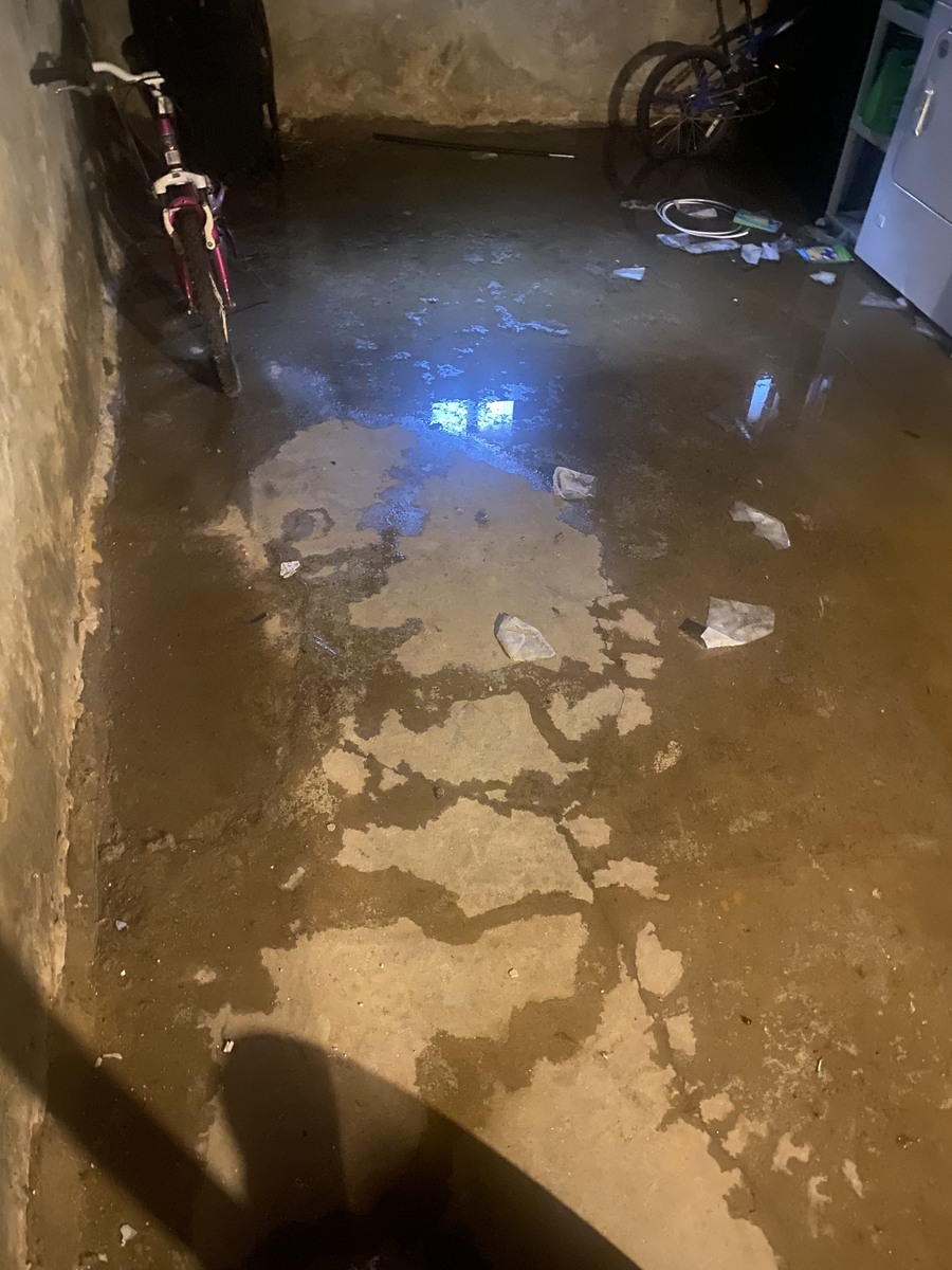 Photographic documentation of the work as submitted to the city's 311 record.