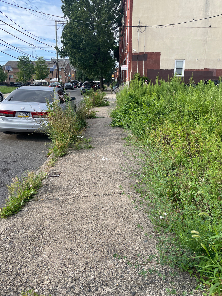 Photographic documentation of the work as submitted to the city's 311 record.