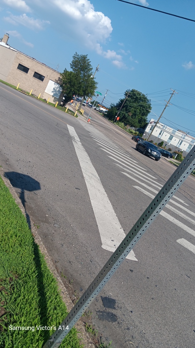 Photographic documentation of the work as submitted to the city's 311 record.