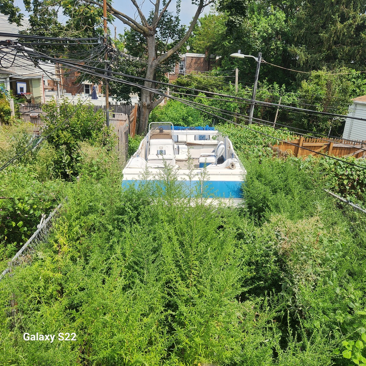 Photographic documentation of the work as submitted to the city's 311 record.