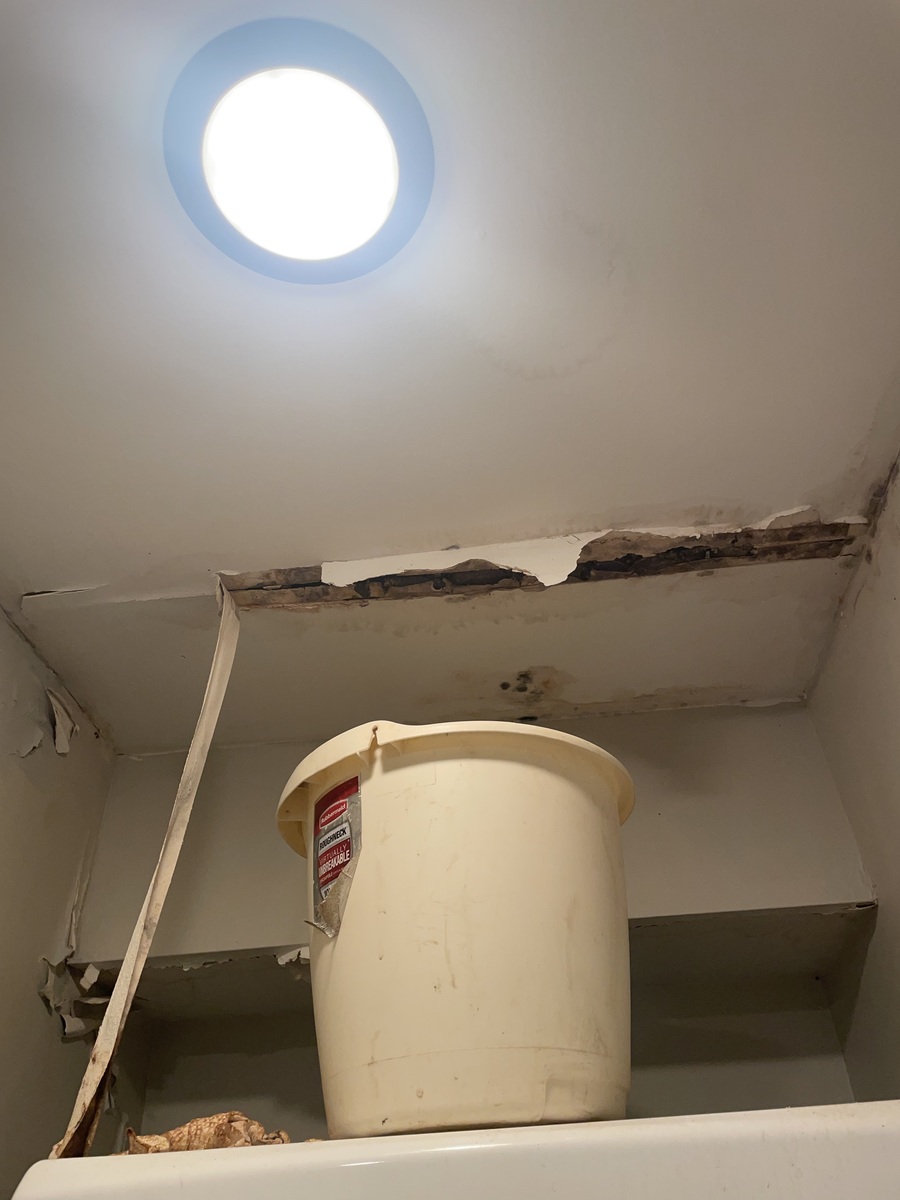 Photographic documentation of the work as submitted to the city's 311 record.
