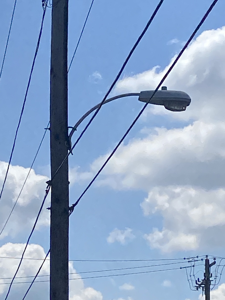 Photographic documentation of the work as submitted to the city's 311 record.