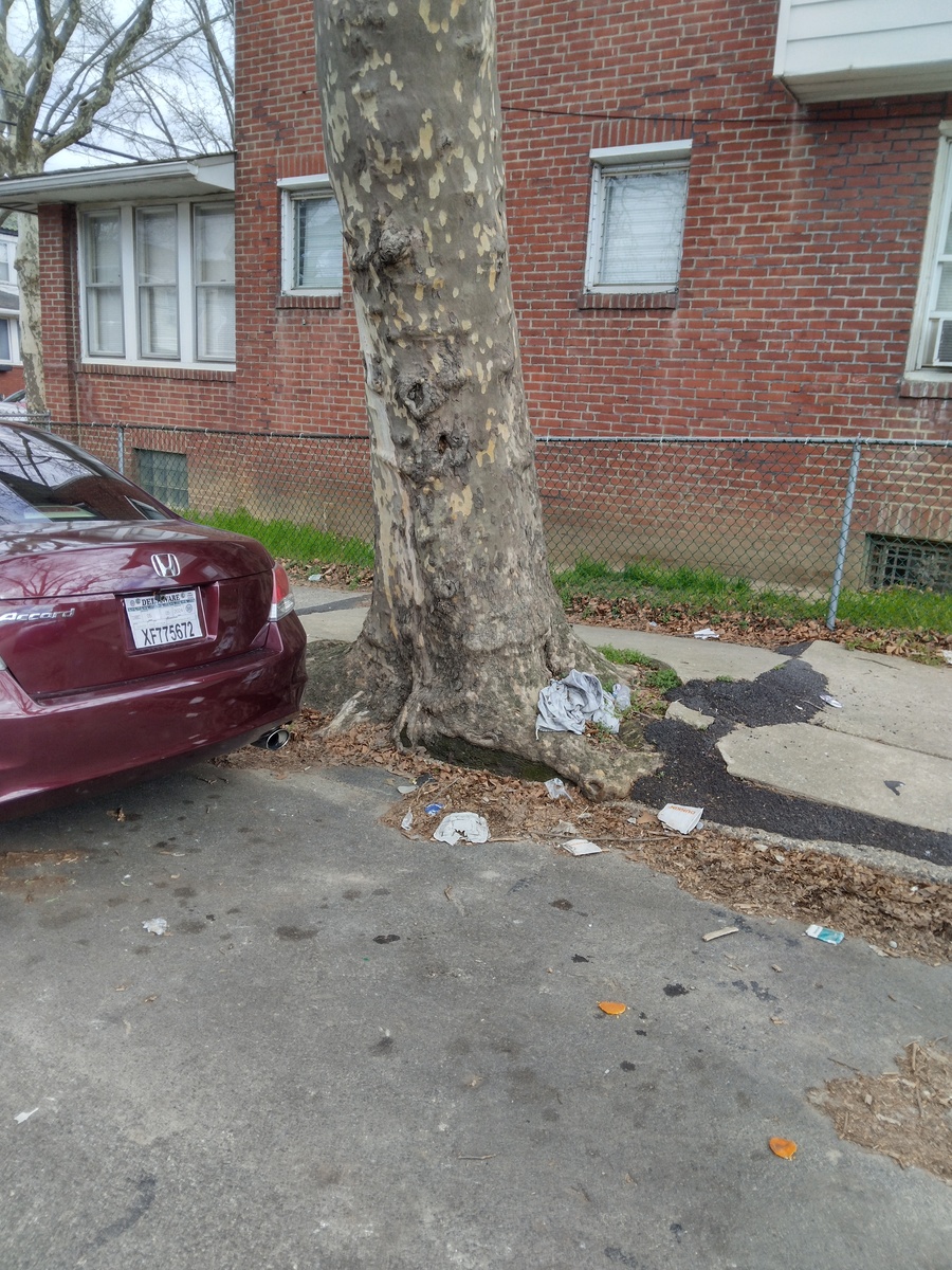 Photographic documentation of the work as submitted to the city's 311 record.