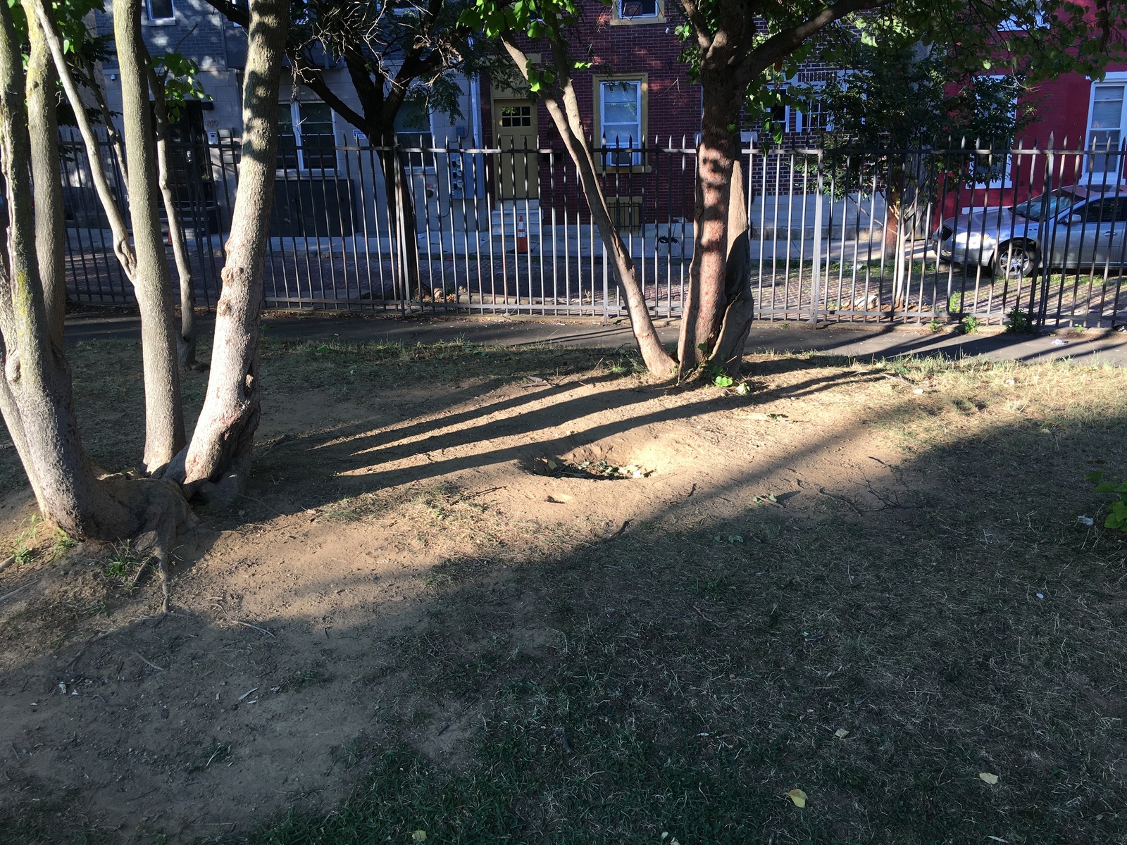 Photographic documentation of the work as submitted to the city's 311 record.