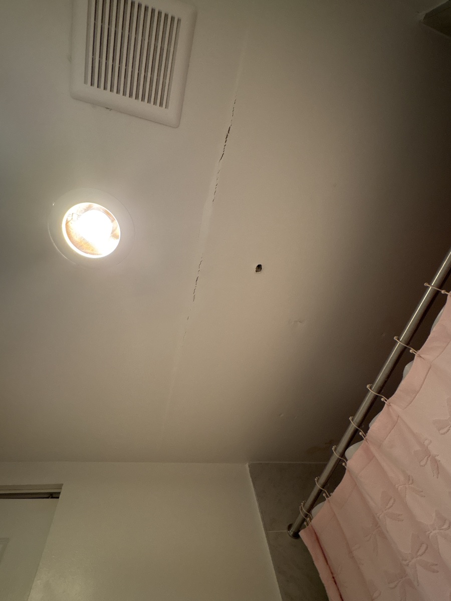 Photographic documentation of the work as submitted to the city's 311 record.