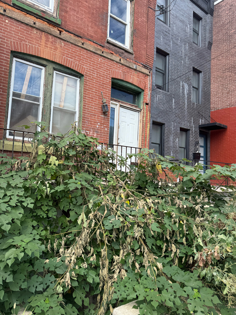 Photographic documentation of the work as submitted to the city's 311 record.
