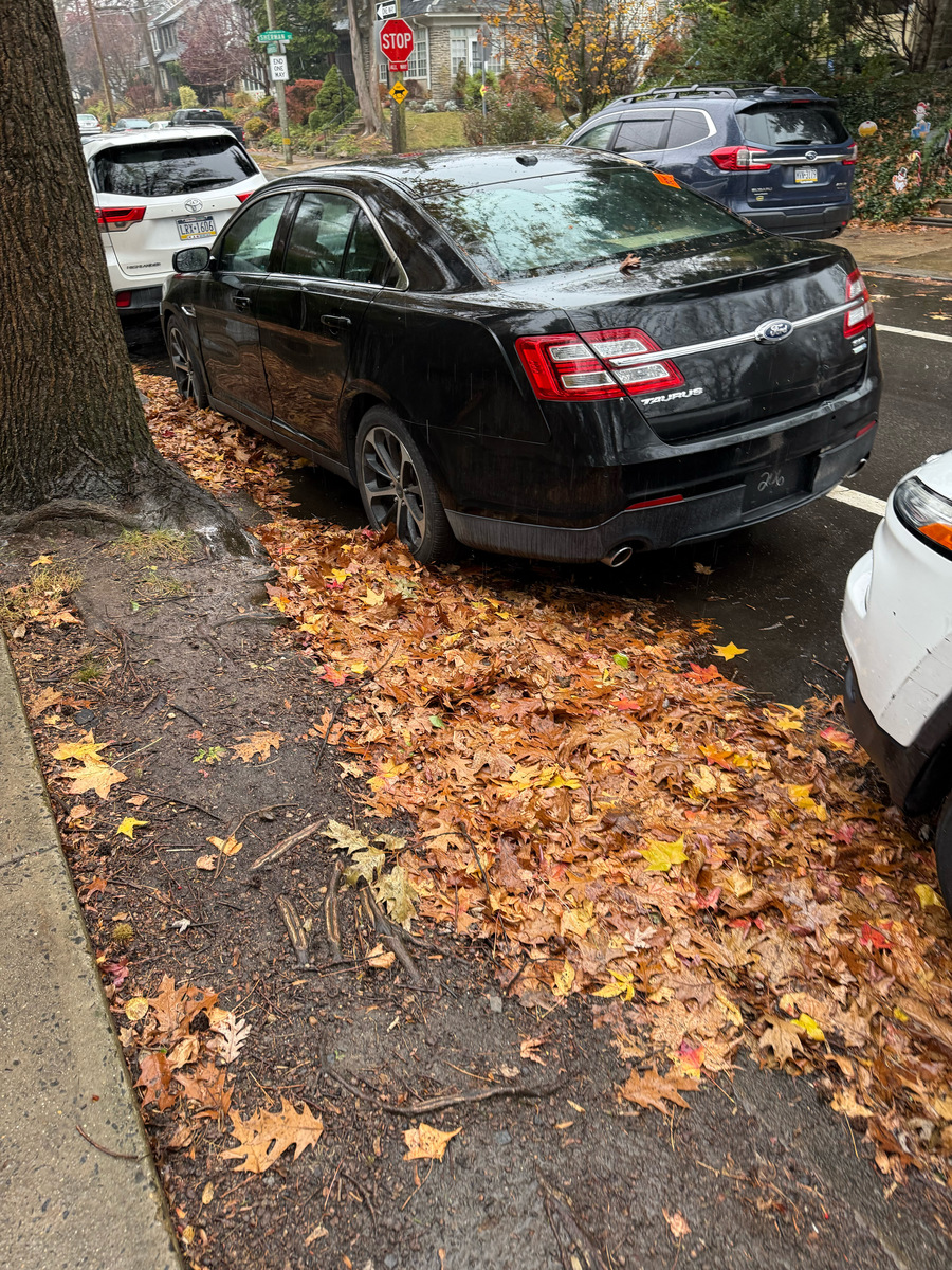 Photographic documentation of the work as submitted to the city's 311 record.