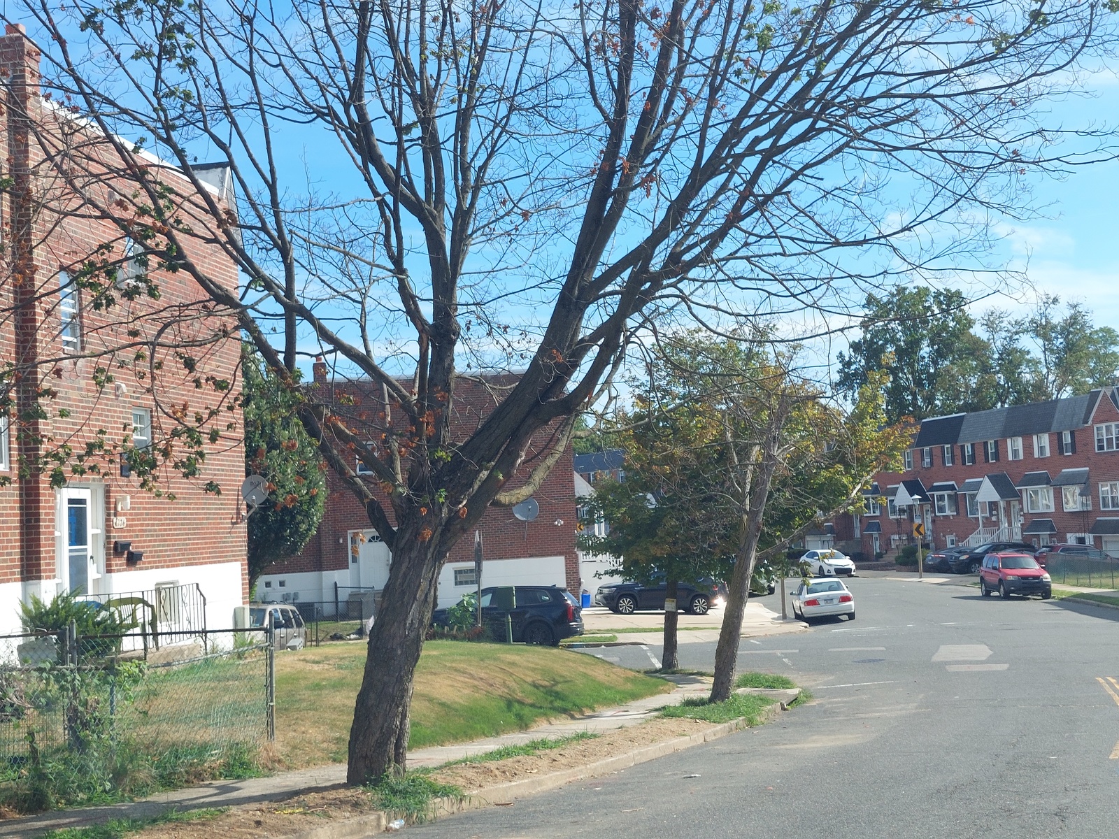 Photographic documentation of the work as submitted to the city's 311 record.