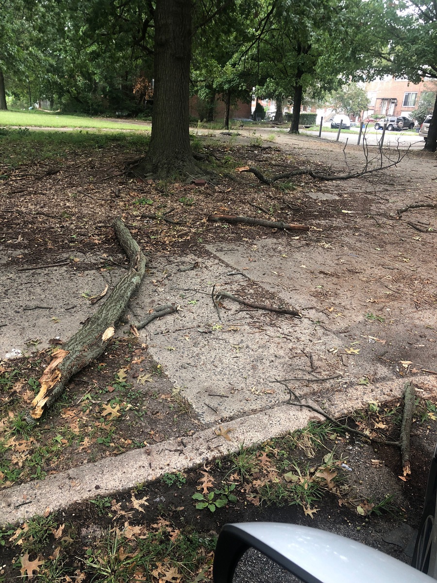 Photographic documentation of the work as submitted to the city's 311 record.