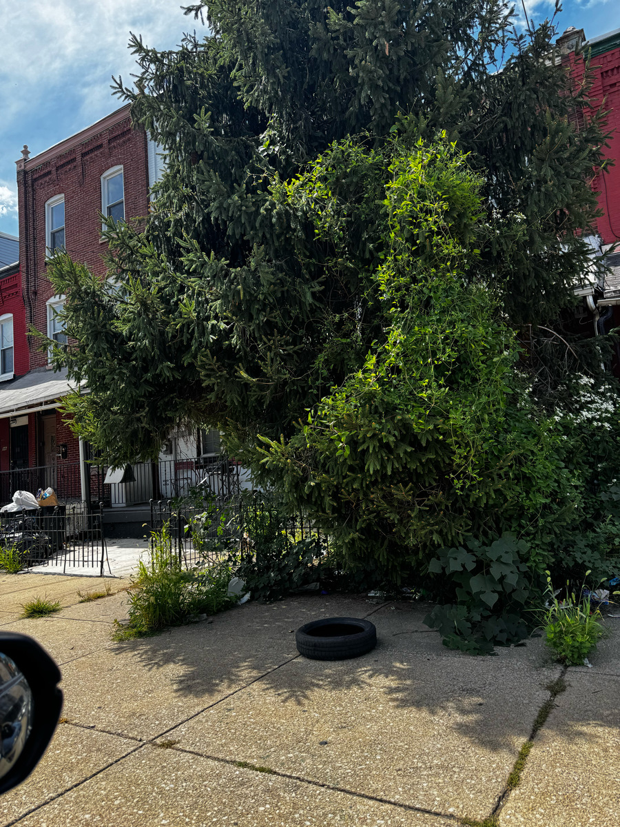 Photographic documentation of the work as submitted to the city's 311 record.