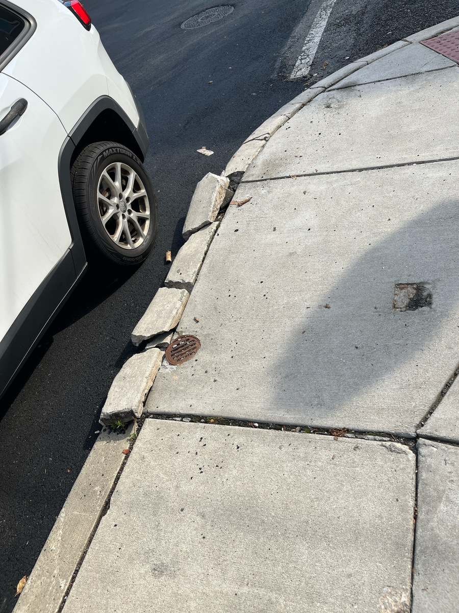 Photographic documentation of the work as submitted to the city's 311 record.