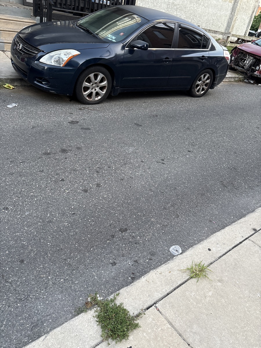 Photographic documentation of the work as submitted to the city's 311 record.