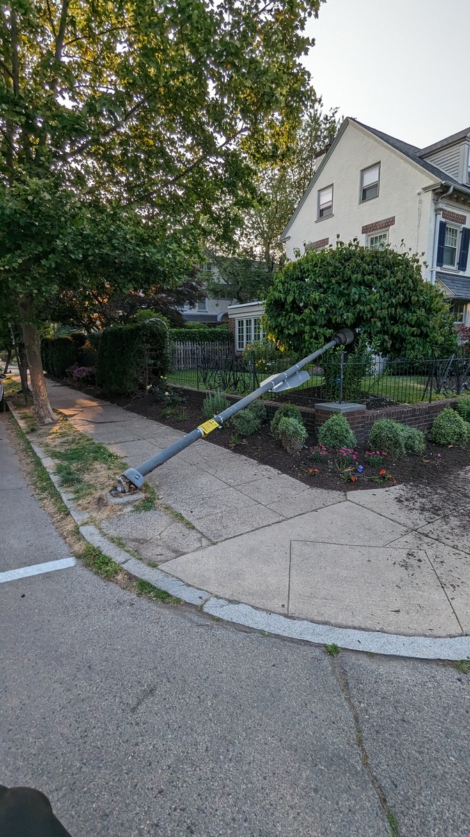 Photographic documentation of the work as submitted to the city's 311 record.