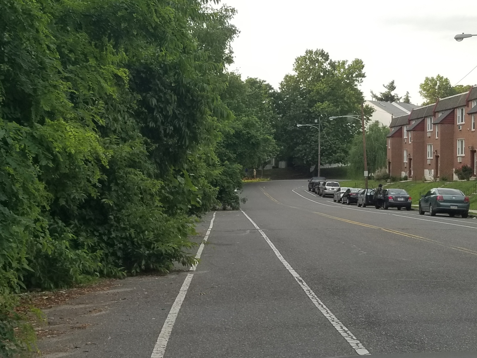 Photographic documentation of the work as submitted to the city's 311 record.