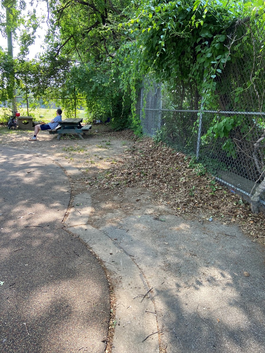Photographic documentation of the work as submitted to the city's 311 record.