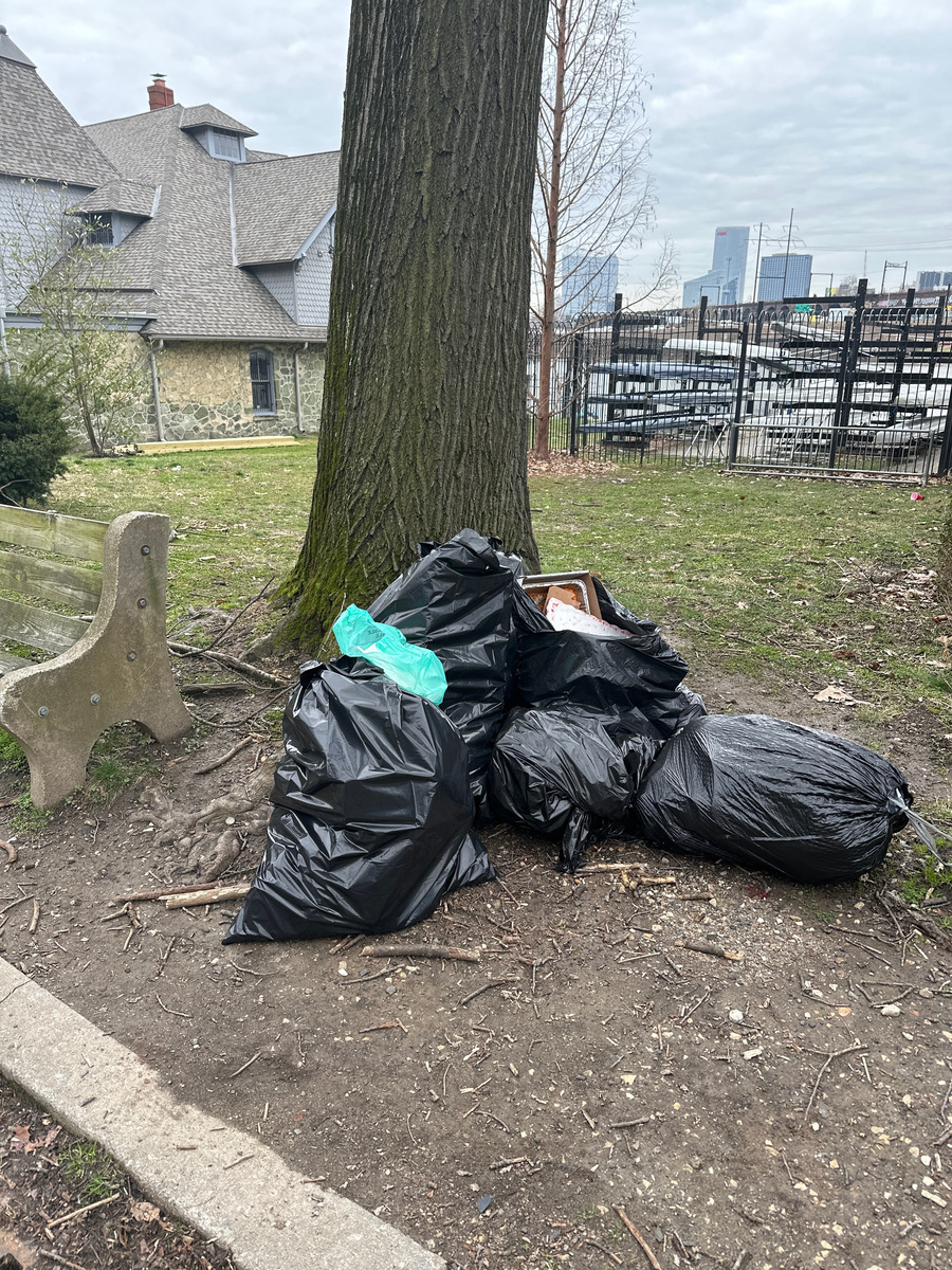 Photographic documentation of the work as submitted to the city's 311 record.