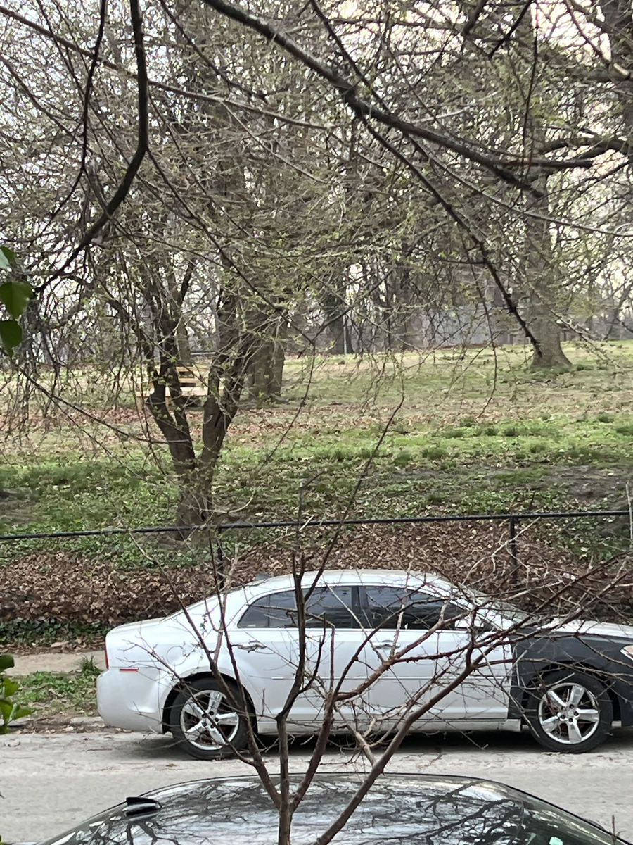 Photographic documentation of the work as submitted to the city's 311 record.