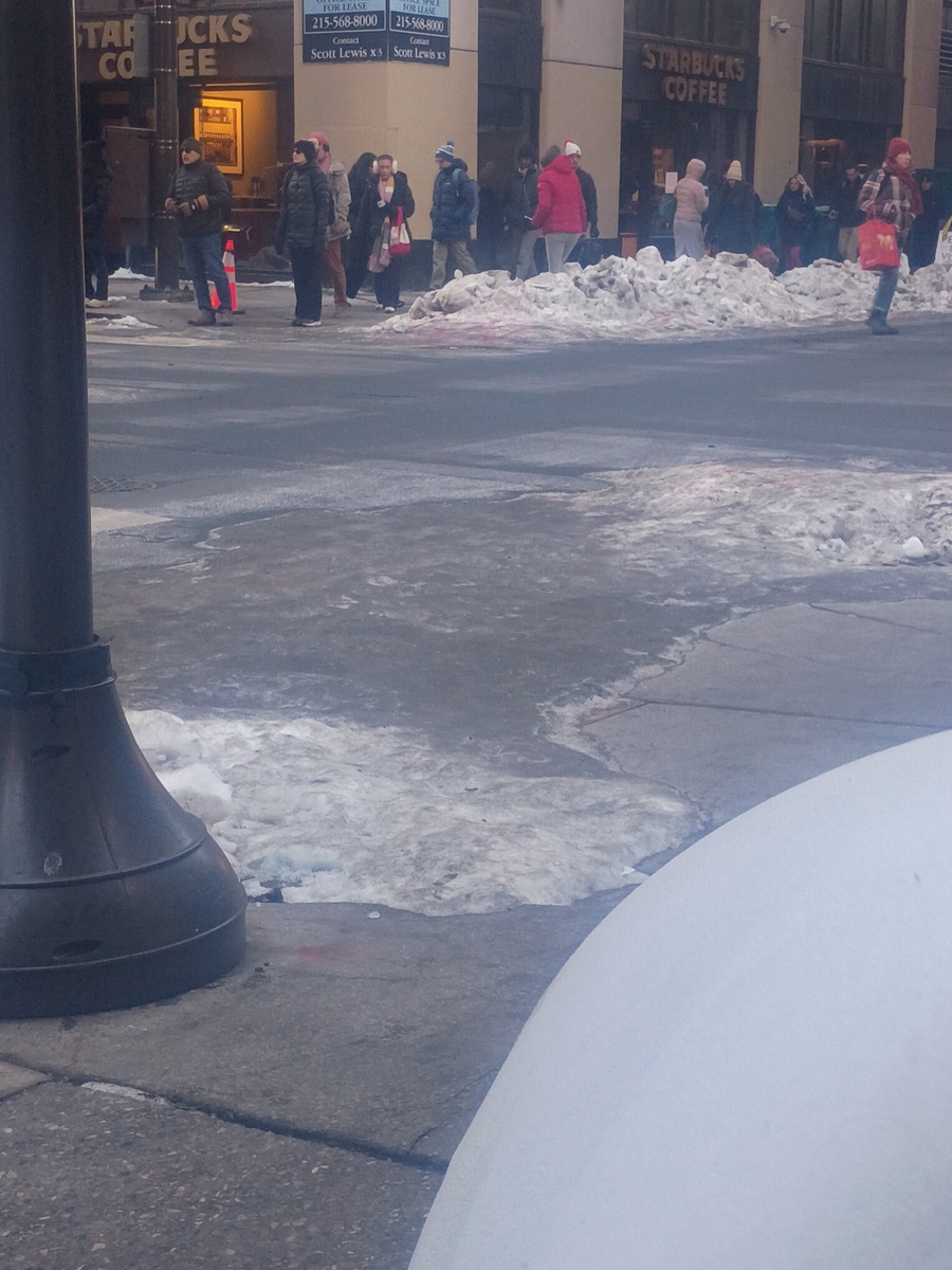 Photographic documentation of the work as submitted to the city's 311 record.