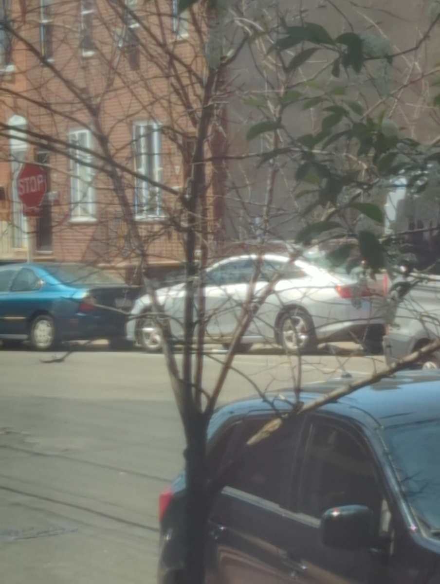 Photographic documentation of the work as submitted to the city's 311 record.