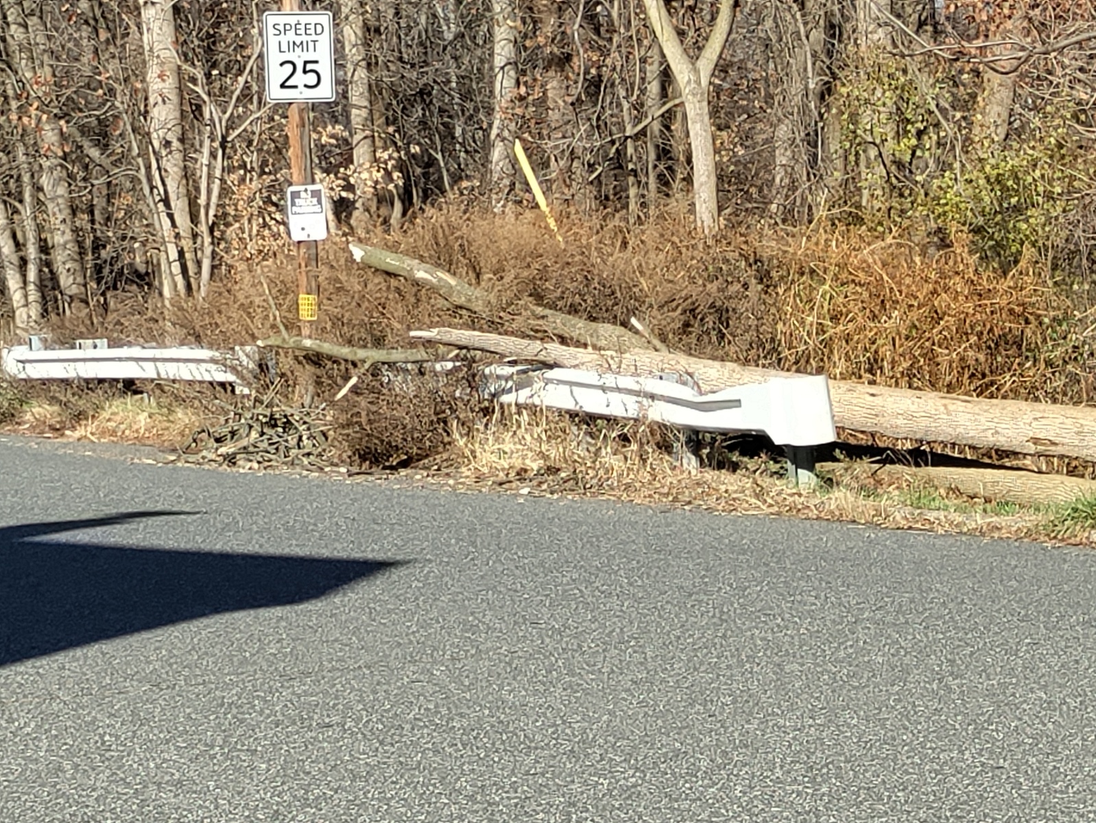 Photographic documentation of the work as submitted to the city's 311 record.