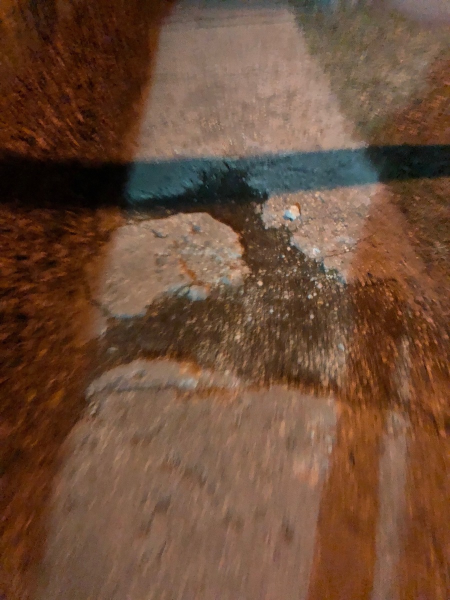 Photographic documentation of the work as submitted to the city's 311 record.