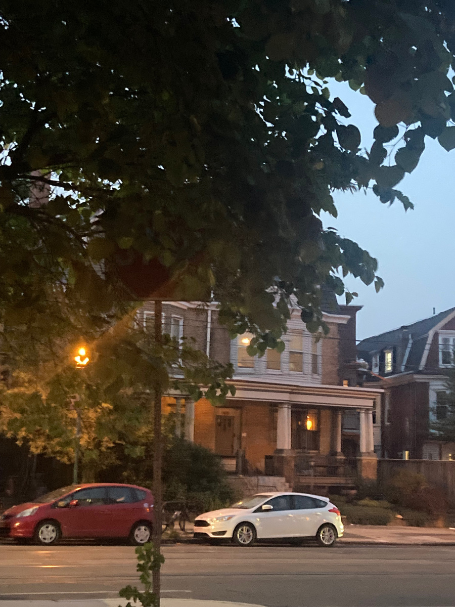 Photographic documentation of the work as submitted to the city's 311 record.
