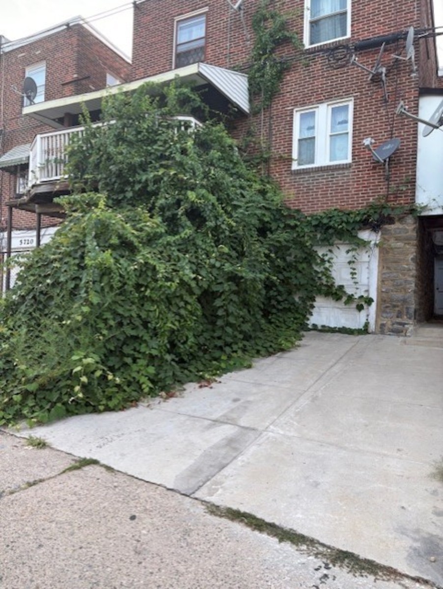 Photographic documentation of the work as submitted to the city's 311 record.