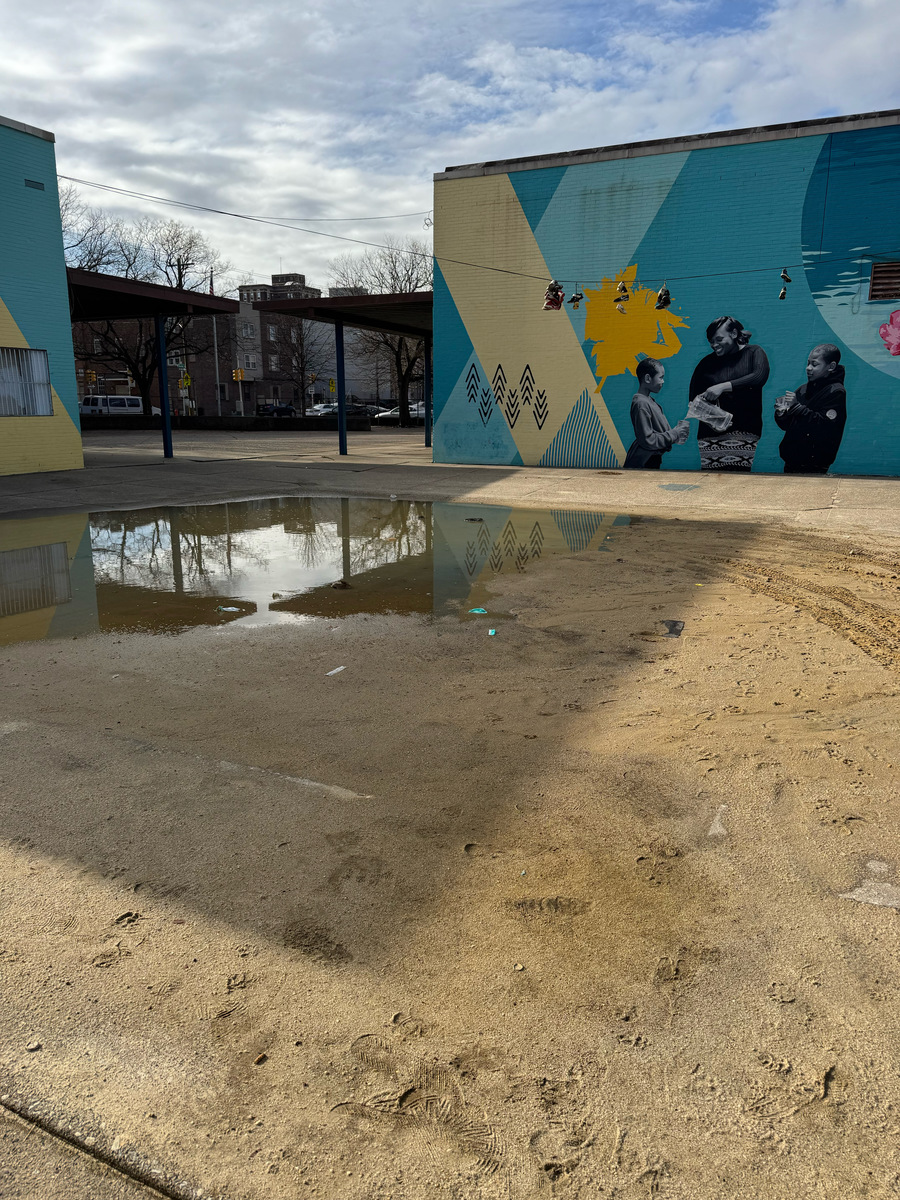 Photographic documentation of the work as submitted to the city's 311 record.
